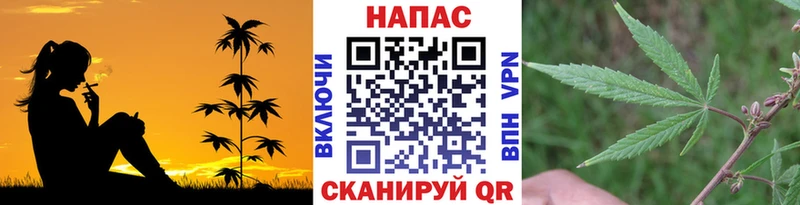 Где можно купить наркотики Сибай МАРИХУАНА блэк спрут как войти СК МЕФ ГАШ КОКАИН