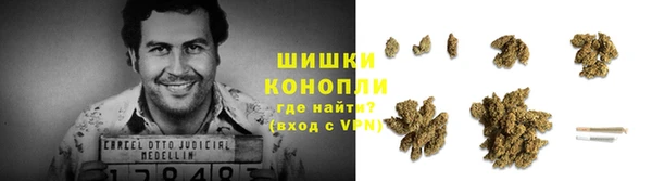 трава Каменка